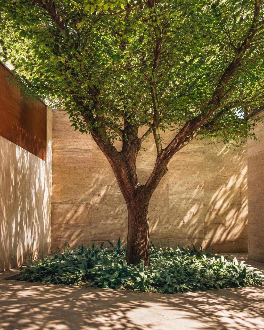 Pátio Ipê — Paisagismo · Reforma